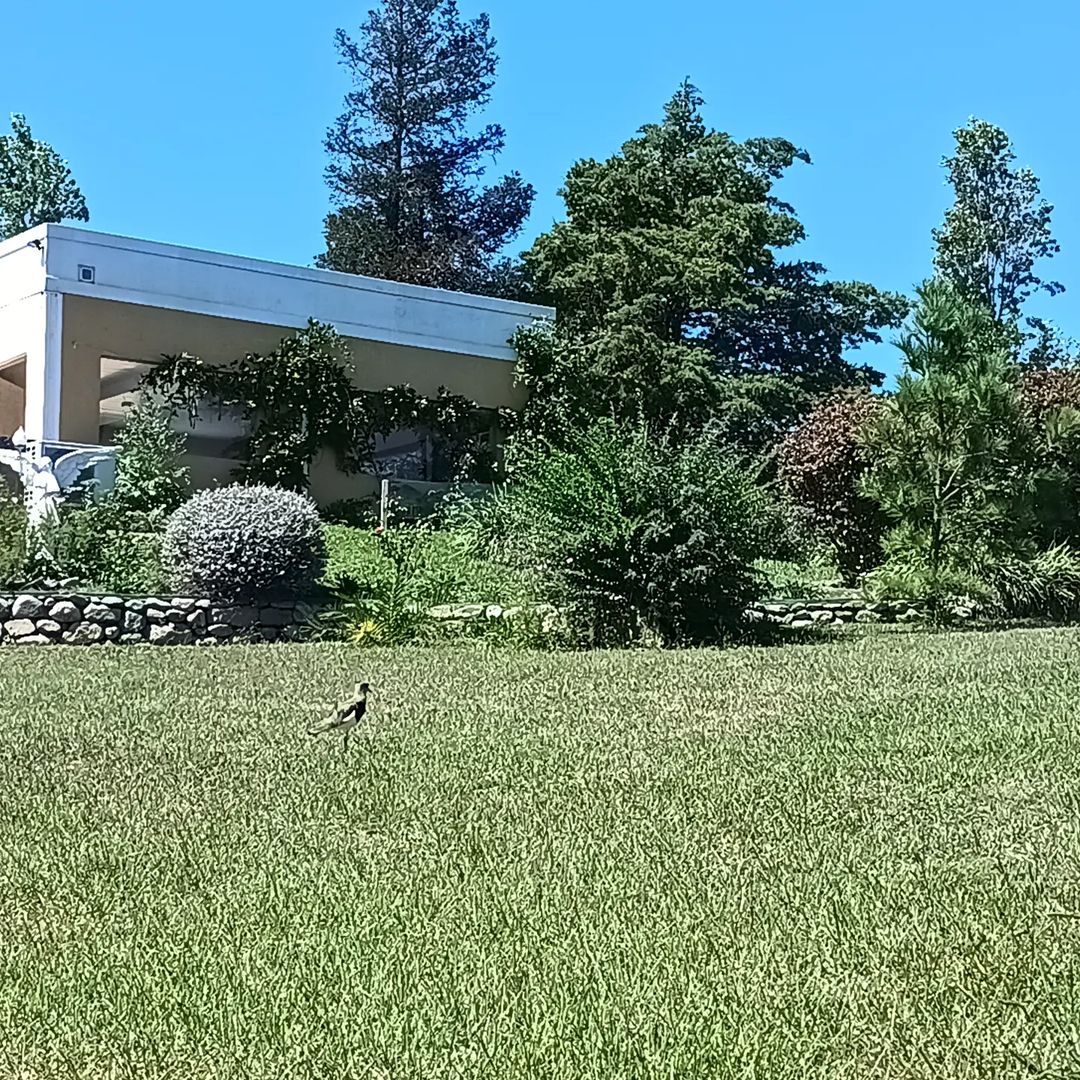 Parque con jardines