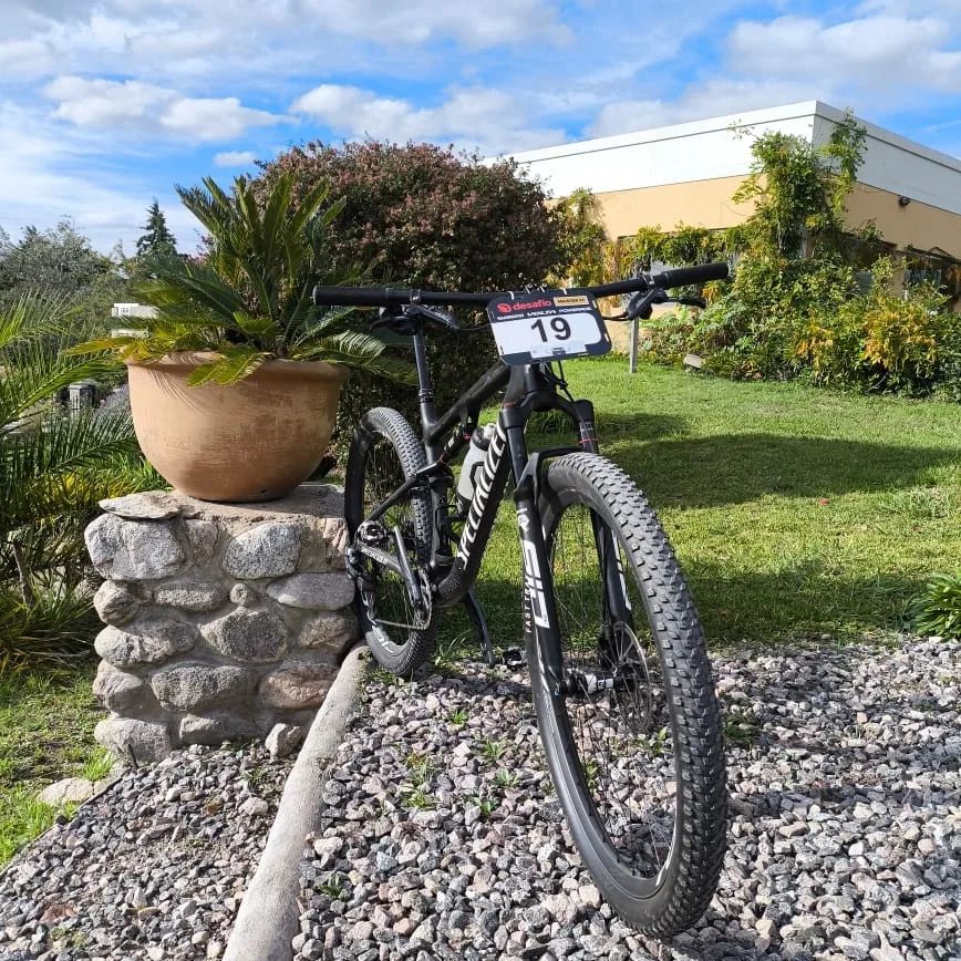 Bicicletas para pasear